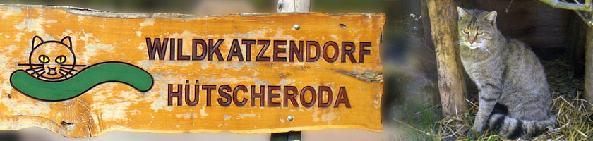 Schild Wildkatzendorf Hütscheroda